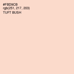 #FBD9CB - Tuft Bush Color Image